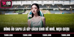 Blog Cá Cược TX88 - Bí Kíp Của Các Cao Thủ - spinluna68.surf