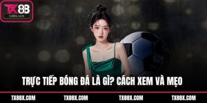 Blog Cá Cược TX88 - Bí Kíp Của Các Cao Thủ - spinluna68.surf